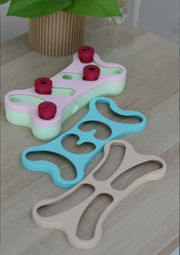 Bone puzzle 1.png